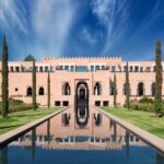 Big Cats and Luxurious Stays: Experience Wildlife Like Never Before